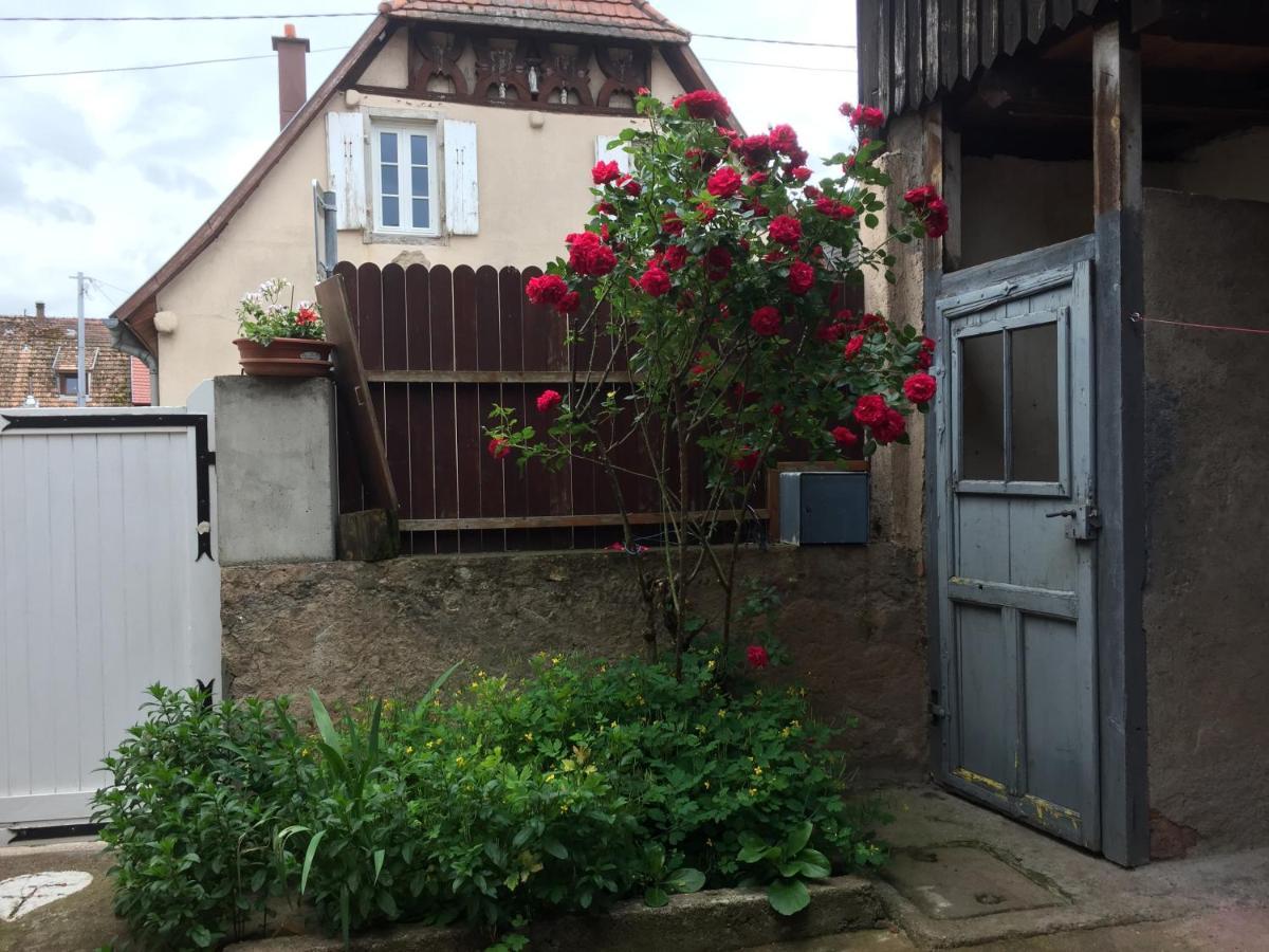 Appartement Spacieux Dans Joli Village Alsacien Chatenois  Exterior photo