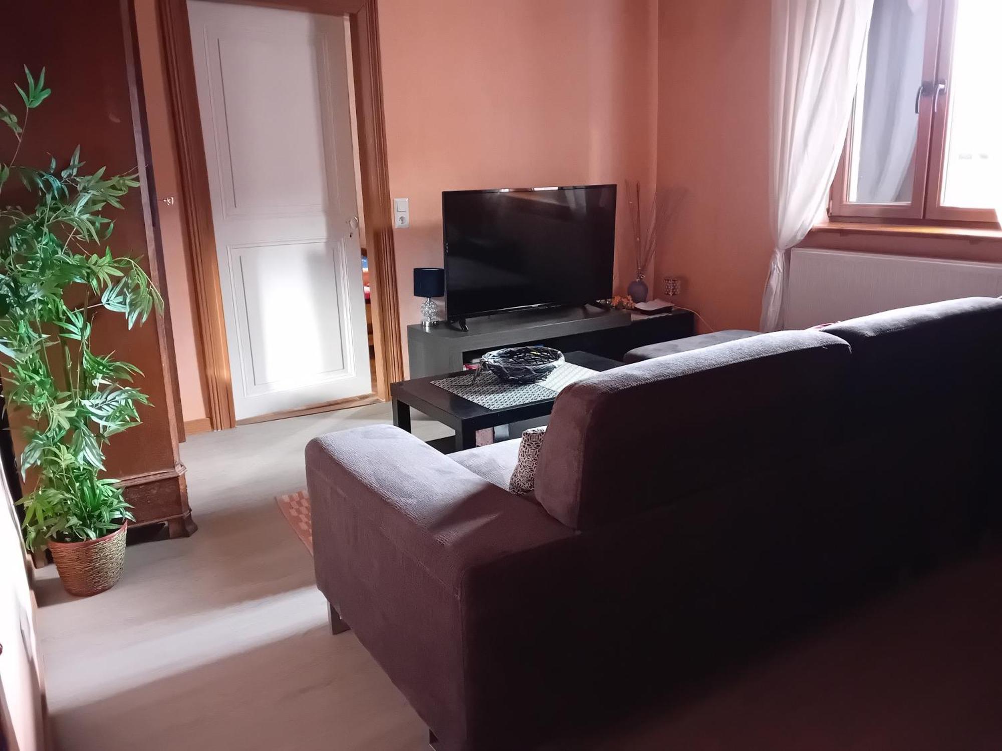 Appartement Spacieux Dans Joli Village Alsacien Chatenois  Exterior photo